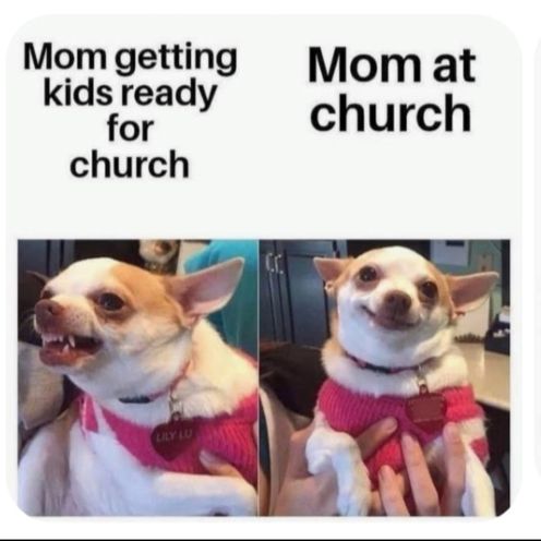 mom dog getting kids to church.jpg